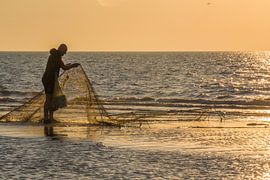 Caught something? Check nets. by didier de borle