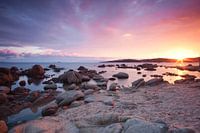 Last Light