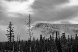 Calme automnal à Sonfjället