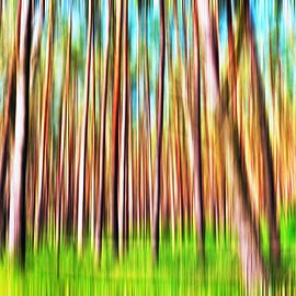 Abstrakter Expressionismus mit Kiefernwald von Silva Wischeropp