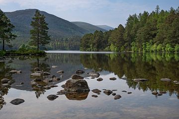 Blick über Loch An Eilein in den schottischen Highlands. von Haarms