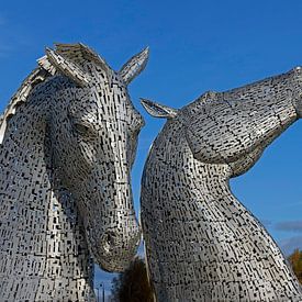 The Kelpies; The Helix; Falkirk; Scotland; UK by Arch White