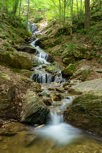 Cascade in a Romanian beech forest