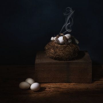 Smokey eggs .   Eieren in nest . van Saskia Dingemans Awarded Photographer