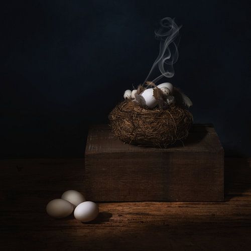 Smokey eggs .   Eggs in nest .