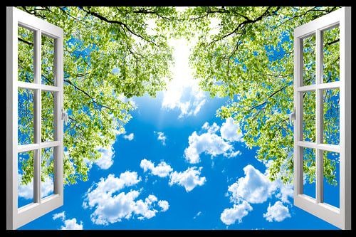 prachtig uitzicht op bomen en wolken