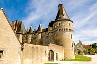 Gevel Chateau Fougères sur Bièvre Loire Frankrijk van Dieter Walther thumbnail