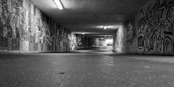 Oude verlaten tunnel in de stad Plauen, Vogtland Saksen Zwart-wit fotografie van Animaflora PicsStock