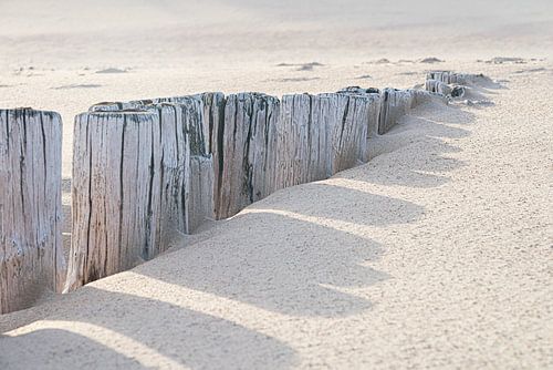 Houten golfbrekers in het zand