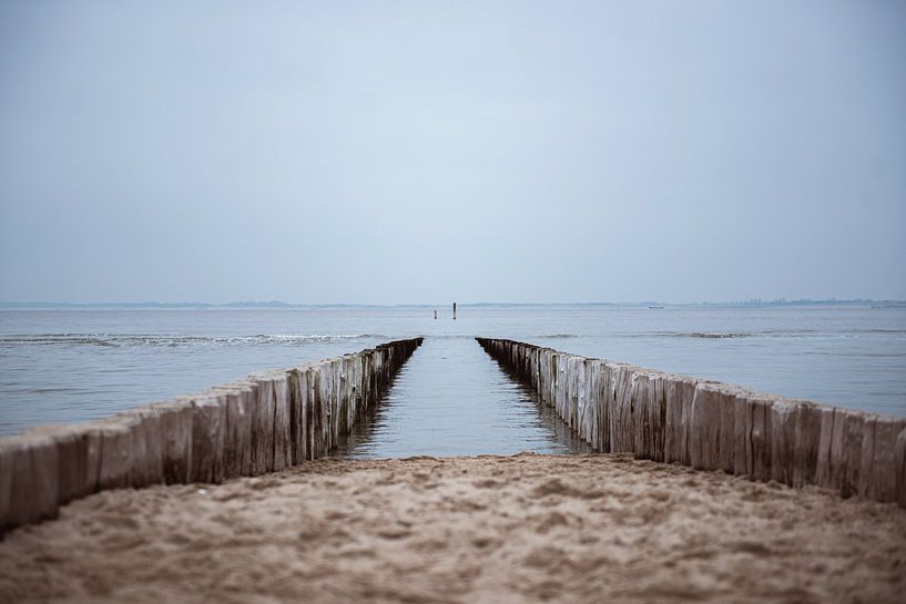 Entrance to the sea by Bjorn Cornelissen