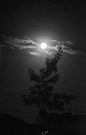 Moon von Lenna Teklenburg