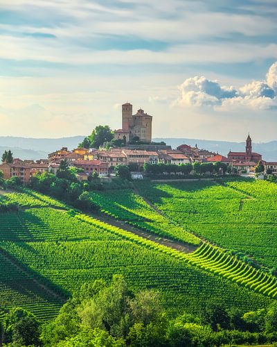 Langhe wijngaarden en Serralunga d'Alba dorp, Italië