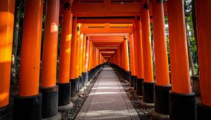 Die orangefarbenen Torii-Tore