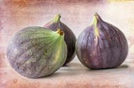 three figs by Rietje Bulthuis thumbnail