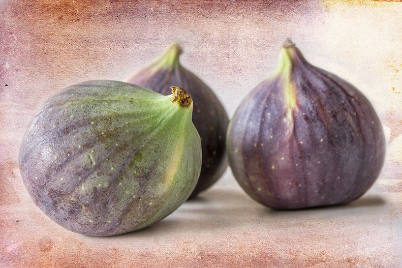 three figs by Rietje Bulthuis