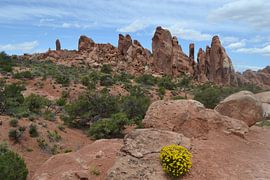 Rock formations in Arches National Park by Bernard van Zwol