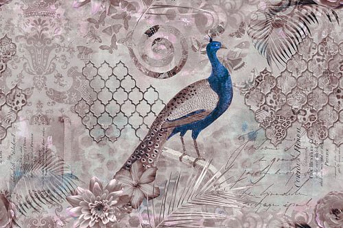 In The Magical Paradise Of The Peacock by Andrea Haase