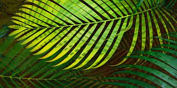 TROPICAL GREENERY LEAVES no3 sur Pia Schneider
