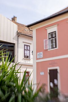 Hongrie | Györ | Pastel de rêve dans la ville sur Gabry Zijlstra