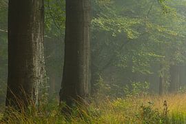 Olterterp sur Ruben Post