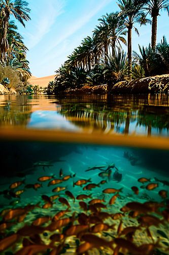 Helder water in tropische oase