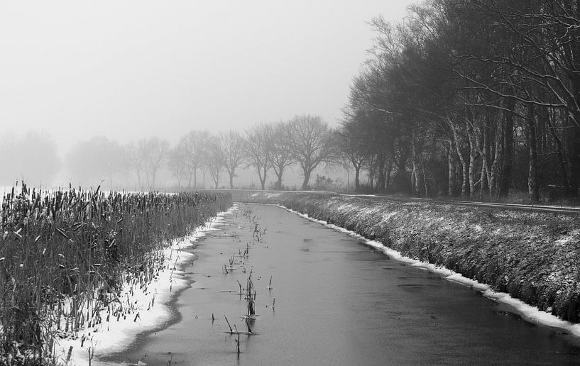 Winter in Drenthe by Manon Zandt