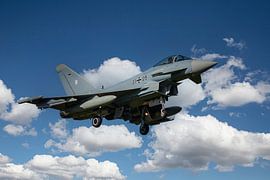 Eurofighter Typhoon (Eurofighter EFA 2000) Allemagne
