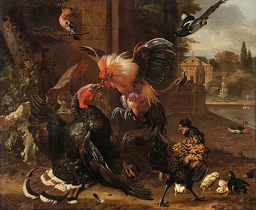 Un coq et une dinde qui se battent, Melchior de Hondecoeter