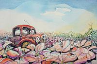 Poppy Field