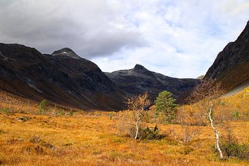 Herfst in Kjellstaddalen Noorwegen. van Jolisa Meints