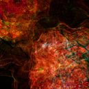 Wildering - abstract digital composition by Nelson Guerreiro thumbnail
