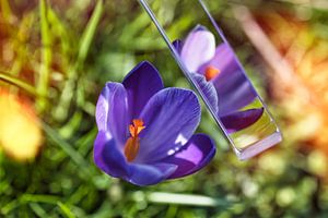 De Lente kan beginnen