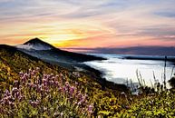 EL TEIDE met op staande zon en bewolking aan de horizon par Willy Van de Wiele Aperçu