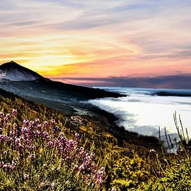 EL TEIDE met op staande zon en bewolking aan de horizon von Willy Van de Wiele