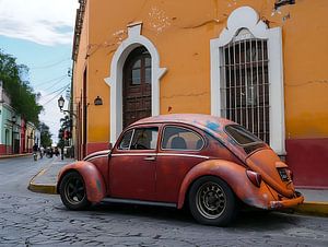 Käfer in Merida