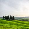 Val D'Orcia in der Toskana von Mickéle Godderis