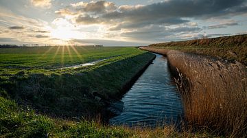 The Noord-Beveland polder by Jan Jongejan