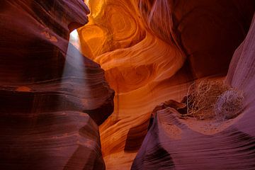 Lower Antelope Canyon