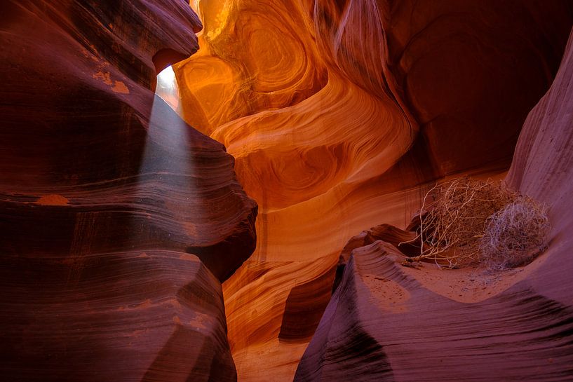 Lower Antelope canyon par Richard van der Woude