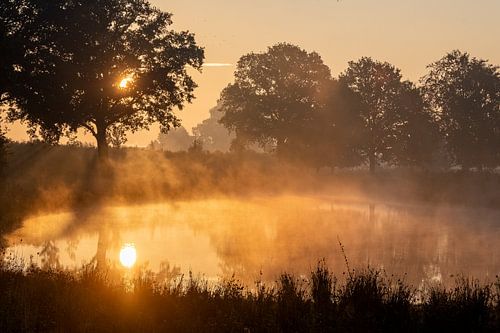Lever de soleil matinal, avec le soleil se reflétant dans l'eau