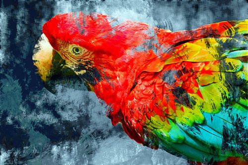 Abstracte papegaai