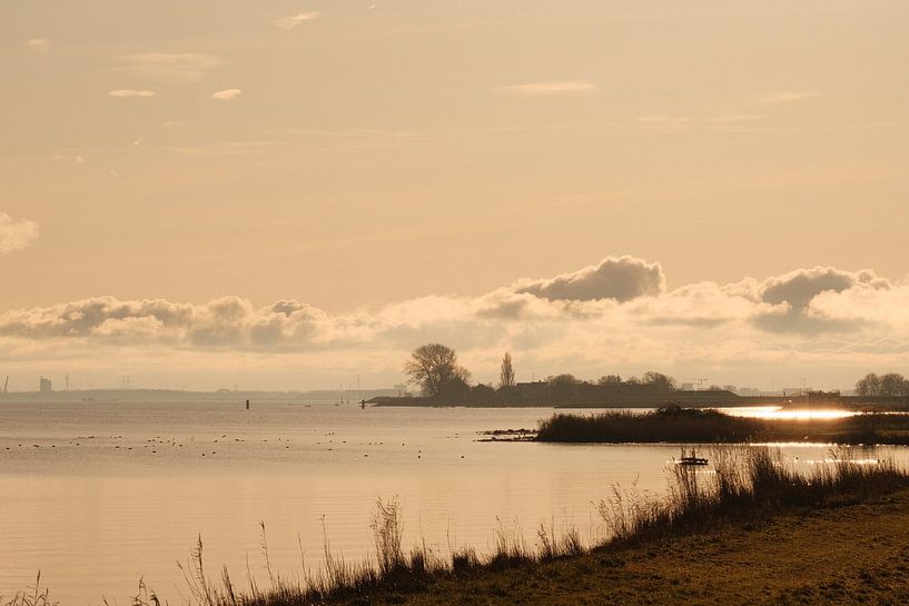 Landscape near the coast of the IJsselmeer by Boudewijn Vermeulen