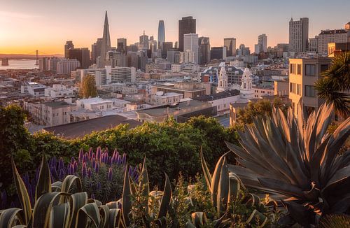 San Francisco