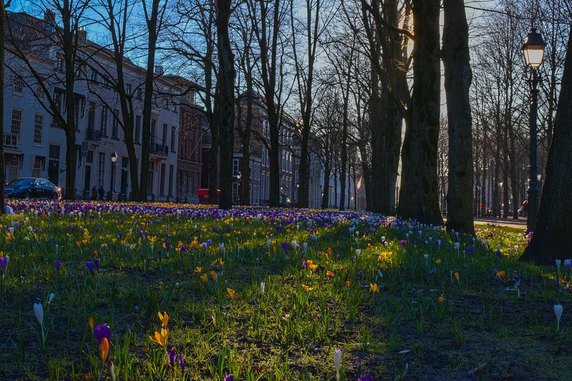 Den Haag Stadt Frühling Vibes von Victoria Barberien