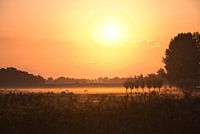Landschap foto in Waverveen