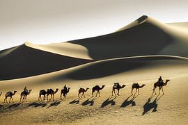 Sahara desert, Camel caravan and Tuareg camel drivers