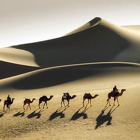 Wüste Sahara, Kamelkarawane und Tuareg-Kameltreiber von Frans Lemmens
