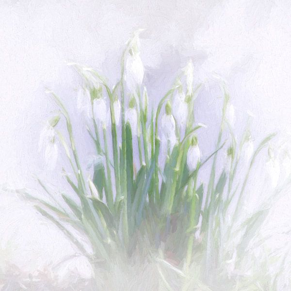 snowdrops von Yvonne Blokland