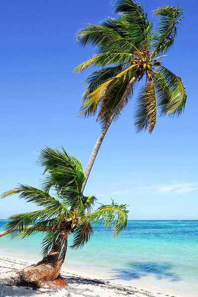 Caribbean images are among the most popular motifs for murals and fine art prints. The region inspires with its crystal-clear water, white beaches, unique colour moods and tropical nature. by Miriam Schwarzfischer Fotografie