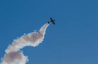 Sukhoi 29 by Raymond Engelen thumbnail